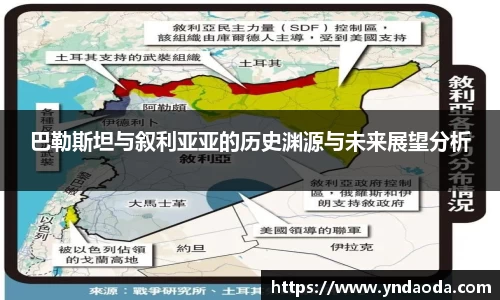 巴勒斯坦与叙利亚亚的历史渊源与未来展望分析